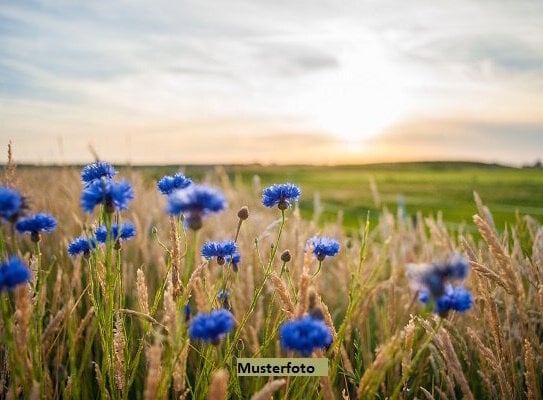 Unbebaute Grundstücke (Grünland, Wald)