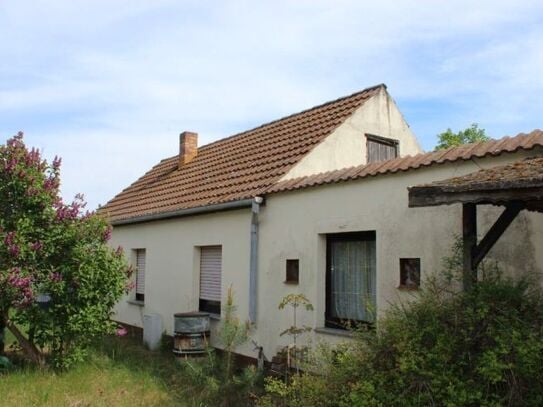 Einfamilienhaus in Neupetershain (Brandenburg)