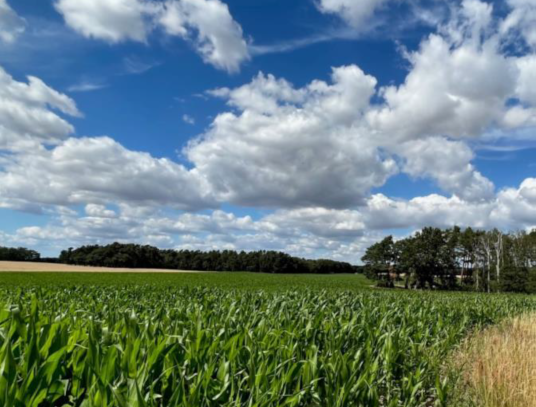 16,18 ha Ackerfläche Bölzke/Ostprignitz von privat zu verkaufen