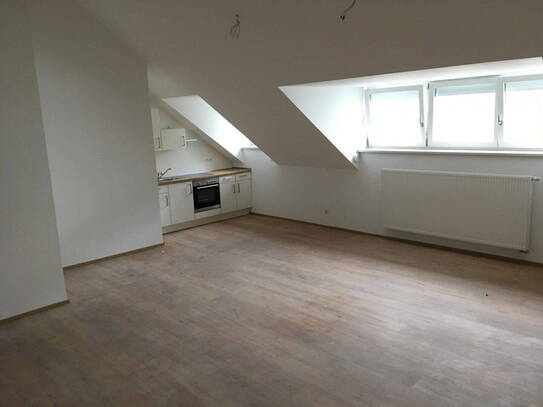 Exklusives Loft / 1 Zimmer Wohnung - nähe Stadtzentrum und Universität