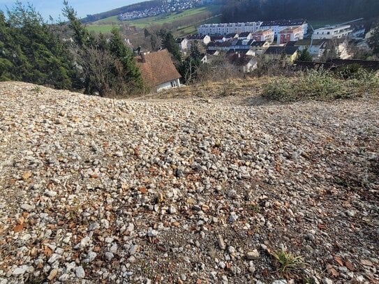 Toller Bauplatz für großes freistehendes - EFH sofort bebaubar - in bevorzugter Hanglage in Lörrach am Hünerberg