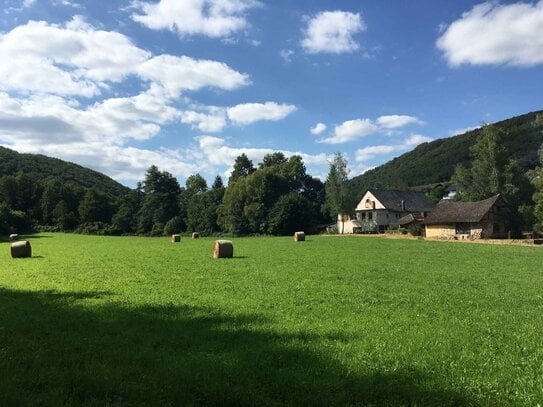 Bauernhof - landw.Betrieb - Aussiedlerhof - mgl. Pferdehaltung