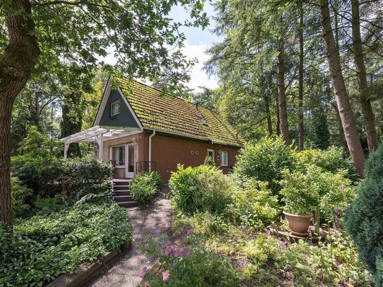 Freistehendes Ferienhaus in waldreicher Umgebung