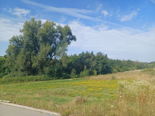 Baugrundstück in Pfaffenhofen a.d.Ilm zu verkaufen