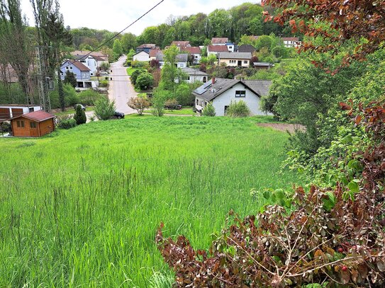 Großes Grundstück in zentraler Lage in Merzig-Mondorf