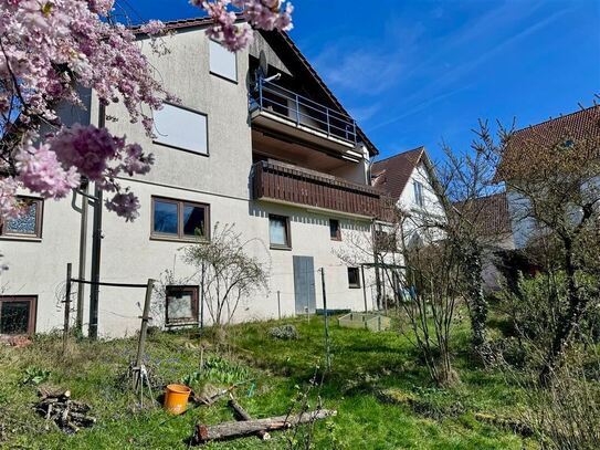 RESERVIERT! Kurzfristig frei: Altes Haus und 4-Zi. im neuen Haus!