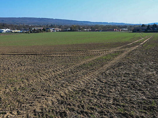 Top Ackerland in der Region Springe