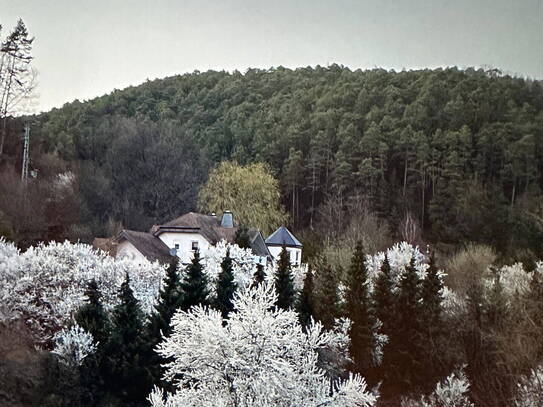 Villa in der malerischen Pfalz, im Städtedreieck Bad Dürkheim-Neustadt-Kaiserslautern