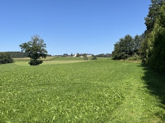 Alleinlage - über 500 m² Nutzfläche auf fast 4.000 m² Grund