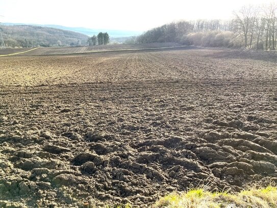 34 ha Ackerland und 4 ha Wald in Wolken und Kobern-Gondorf, Rheinland-Pfalz