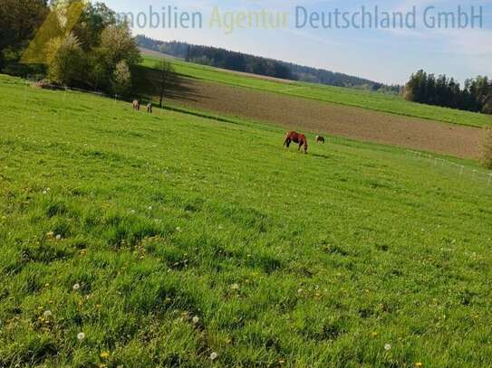 Idyllisches Reiterdomizil: Großzügiges Anwesen mit Stallungen und Weiden bei Vilsbiburg!