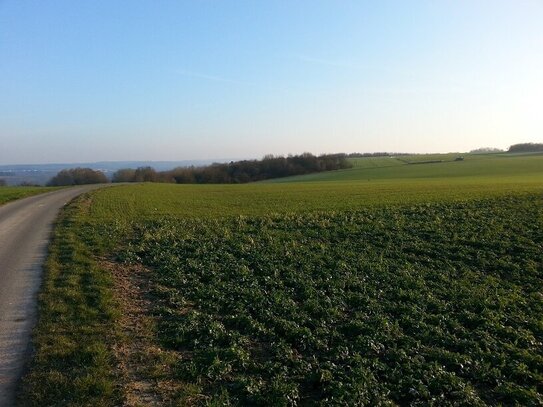 Landwirtschaftlicher Vollerwerbsbetrieb in der Eifel (ca. 30 km Grenze Luxemburg) zu verkaufen