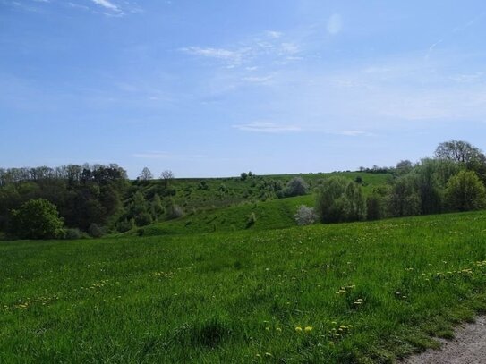 Großes landwirtschaftliches Areal sucht neuen Eigentümer