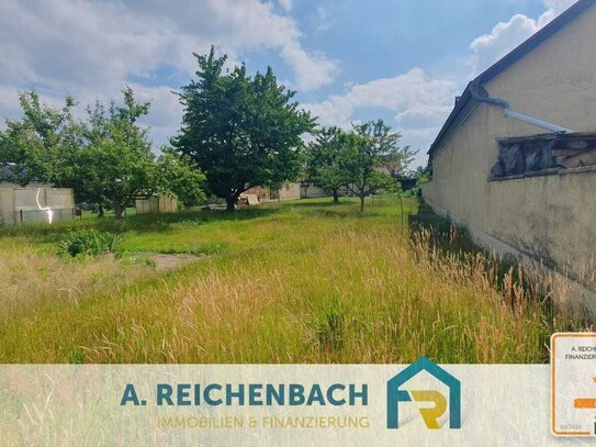 Bauträgerfreies Baugrundstück in Tornau zu verkaufen! Nur 5 km von Bad Düben entfernt!