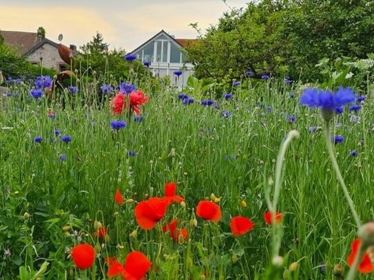 Großzügiges Anwesen mit riesigem Gartenanteil und Doppelgarage in ruhiger Lage von Stolberg-Breinig