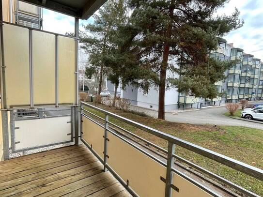 2 Raumwohnung mit Blick auf den Stadtwald