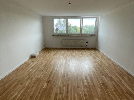 Wir haben für Sie renoviert! 1-Zimmer-Apartment in Laufamholz!