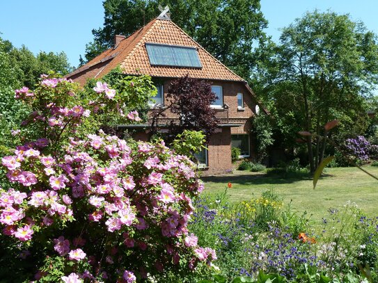 Lüneburger Heide Nähe Bad Bevensen