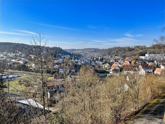 Ein Paradies im Grünen mit traumhaftem Panoramaausblick... sonnig gelegene Villa in Alleinlage auf ca. 24.000m² Grund