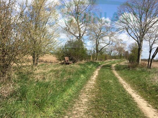 *Feldrandlage mit Weitblick - Lebensqualität zum Wohlfühlen!*