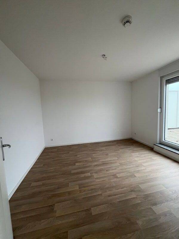 3 Zimmer Wohnung ab sofort mit Terrasse! - Photo 1