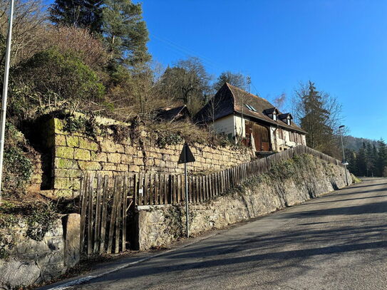 Gefühlte Alleinlage - Villenbauplatz oder Grundsanierung