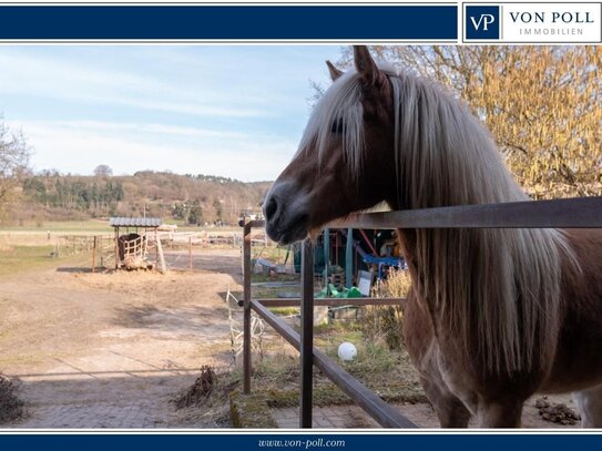 Schönes Anwesen für reitbegeisterte Familien, Tierarzt, Freiberufler o. Home-Office-Bedarf