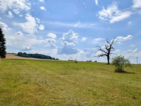 Großzügiges Wohnbaugrundstück in Mohorn (Herzogswalde)