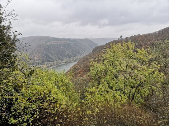 Zwei Wohnhäuser Im Wingertsberg an der Traumschleife Rheingold