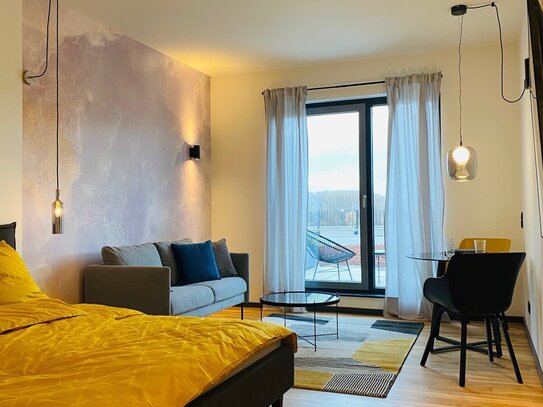 Voll möbliertes 1-Zimmer Apartment mit Dachterrasse, inkl. aller NK und Highspeed Internet + PKW Stellplatz in Roßdorf!