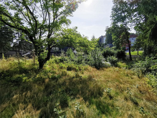 Idyllisches Grundstück mit kleinem Teich in Mittelbach