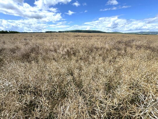 2,2 ha Ackerland in Kreuzau und Vettweiß