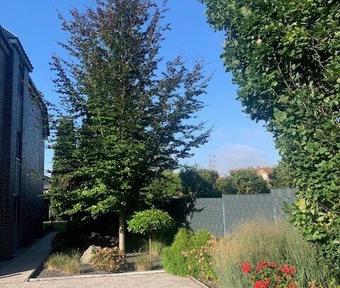 Hochwertige, helle Maisonettewohnung mit Ausblick ins Grüne !