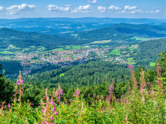 Platz ohne Ende - Das besondere Einfamilienhaus in Bodenmais!