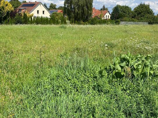 ZWISCHEN NATUR UND STADT IHR NEUER LEBENSRAUM