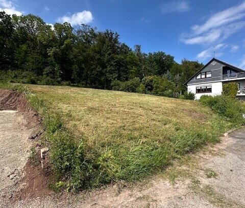 Schlüssel zum Familienglück! - Großzügiges Baugrundstück mit Genehmigung und Planung in Calden