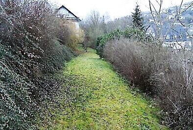 **Grundstück mit viel Natur und trotzdem zentral**