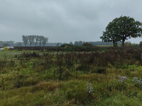 Baugrundstück in Naturlage