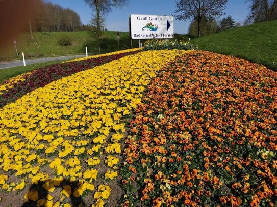 ***Schönes, erschlossenes Baugrundstück in der Kur-, Bäder- und Golfstadt*** Zentral gelegen, leichte Hanglage, mit gen…