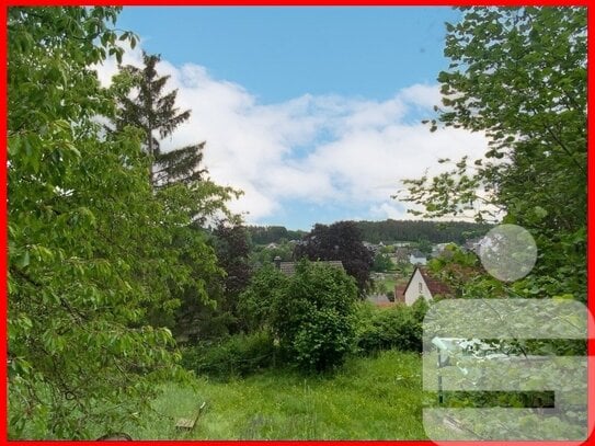 LAGE, LAGE, LAGE - traumhaftes Wohnbaugrundstück mit wunderschöner Aussicht und Fernblick