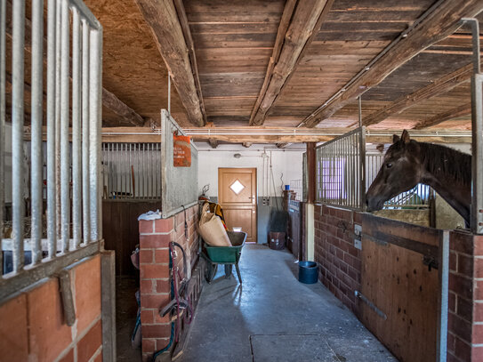 Schöne Lage am Rande eines Naturschutzgebietes – Wohnhaus mit Pferdeställen, Reitplatz und Weideflächen