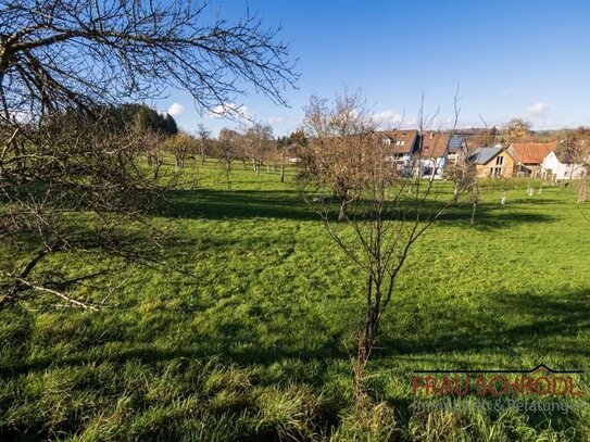 Nur noch 1 Grundstück frei!!!! NATUR PUR Hilzingen-Binningen