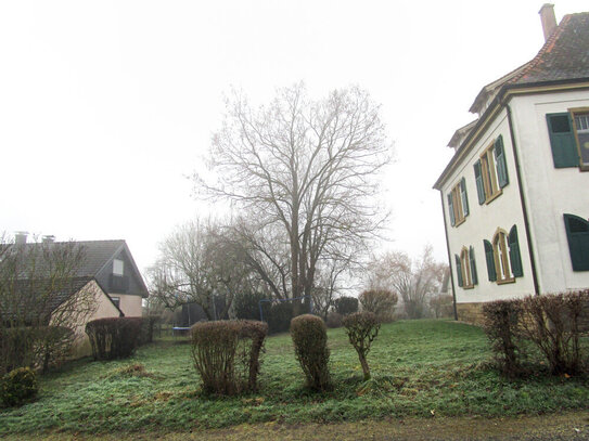 Schöner Bauplatz in Ortsrandlage (Baulücke) in Diefenbach zu verkaufen