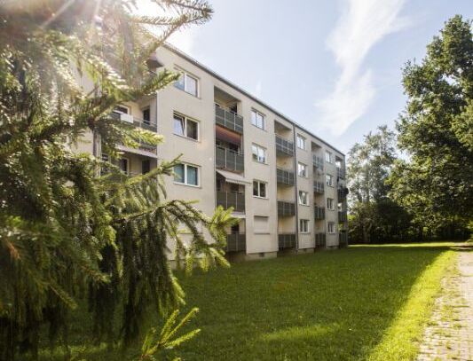 Den Herbst in der neuen Wohnung genießen!