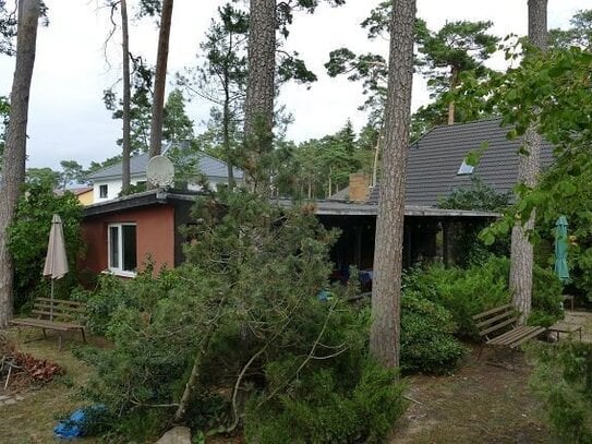 150 m zum Ostseestrand - alter Bungalow im Seebad Lubmin