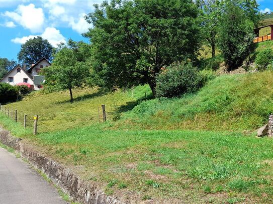 Baugrundstück #2 in idyllischer Lage gegenüber der Schutter