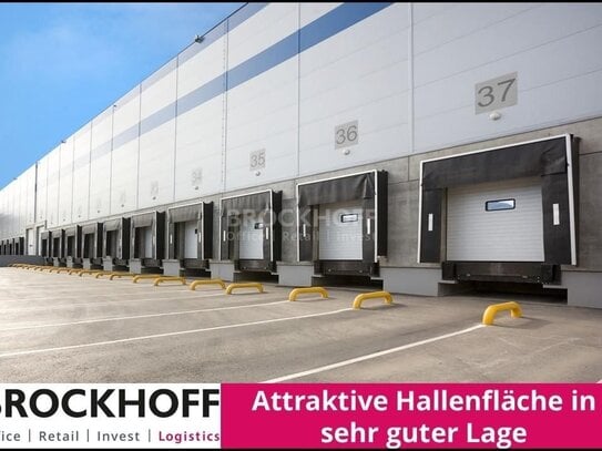 Hallenflächen ab ca. 10.000 bis 20.000 m² | flexible Laufzeiten - auch Jahresverträge möglich