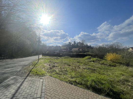 Wohn- oder Ferienhaus direkt am Wald!