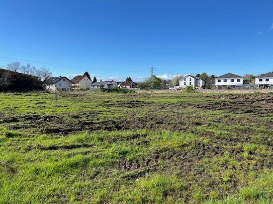 Baugrundstück für großes EFH oder Doppelhaus in Maxdorf!