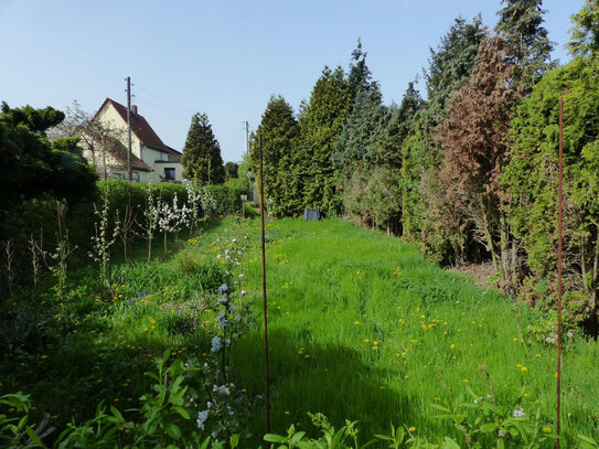 Grundstück in Riesa zu verkaufen - Gemarkung Gröba